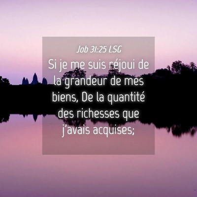 Picture 04 - Job 31:25 LSG - Si je me suis réjoui de la grandeur de mes - Bible Verse Picture