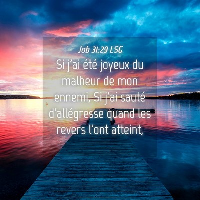 Picture 04 - Job 31:29 LSG - Si j'ai été joyeux du malheur de mon ennemi, Si - Bible Verse Picture
