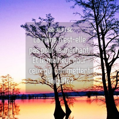 Picture 04 - Job 31:3 LSG - La ruine n'est-elle pas pour le méchant, Et le - Bible Verse Picture