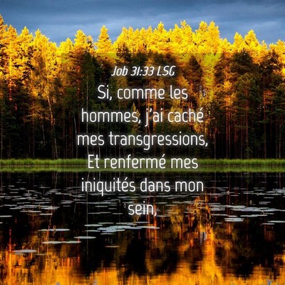 Picture 04 - Job 31:33 LSG - Si, comme les hommes, j'ai caché mes - Bible Verse Picture