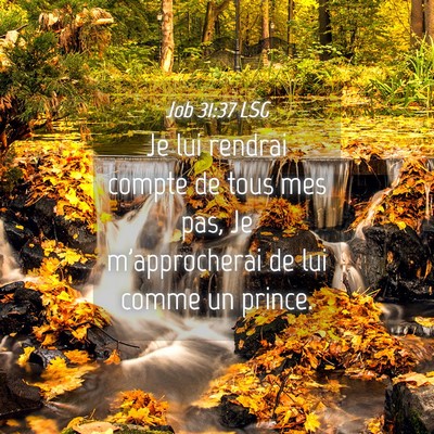 Picture 04 - Job 31:37 LSG - Je lui rendrai compte de tous mes pas, Je - Bible Verse Picture