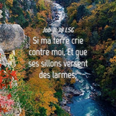 Picture 04 - Job 31:38 LSG - Si ma terre crie contre moi, Et que ses sillons - Bible Verse Picture