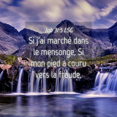 Picture 04 - Job 31:5 LSG - Si j'ai marché dans le mensonge, Si mon pied a - Bible Verse Picture