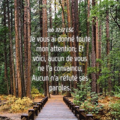 Picture 04 - Job 32:12 LSG - Je vous ai donné toute mon attention; Et voici, - Bible Verse Picture