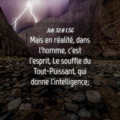 Picture 04 - Job 32:8 LSG - Mais en réalité, dans l'homme, c'est l'esprit, - Bible Verse Picture