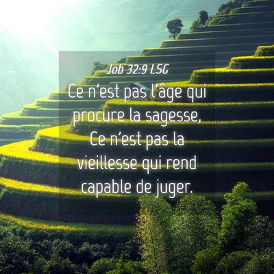 Picture 04 - Job 32:9 LSG - Ce n'est pas l'âge qui procure la sagesse, Ce - Bible Verse Picture
