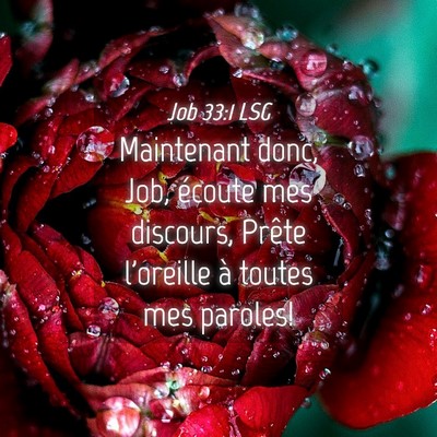 Picture 04 - Job 33:1 LSG - Maintenant donc, Job, écoute mes discours, - Bible Verse Picture