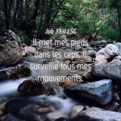 Picture 04 - Job 33:11 LSG - Il met mes pieds dans les ceps, Il surveille tous - Bible Verse Picture