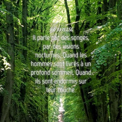 Picture 04 - Job 33:15 LSG - Il parle par des songes, par des visions - Bible Verse Picture