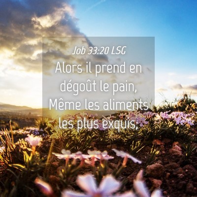Picture 04 - Job 33:20 LSG - Alors il prend en dégoût le pain, Même les - Bible Verse Picture