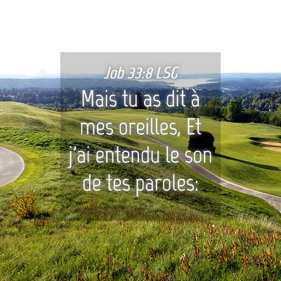 Picture 04 - Job 33:8 LSG - Mais tu as dit à mes oreilles, Et j'ai entendu - Bible Verse Picture