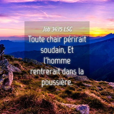Picture 04 - Job 34:15 LSG - Toute chair périrait soudain, Et l'homme - Bible Verse Picture