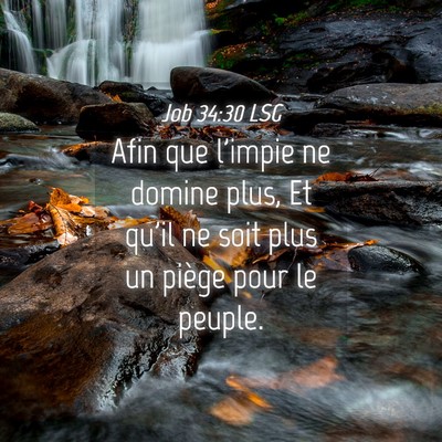 Picture 04 - Job 34:30 LSG - Afin que l'impie ne domine plus, Et qu'il ne soit - Bible Verse Picture
