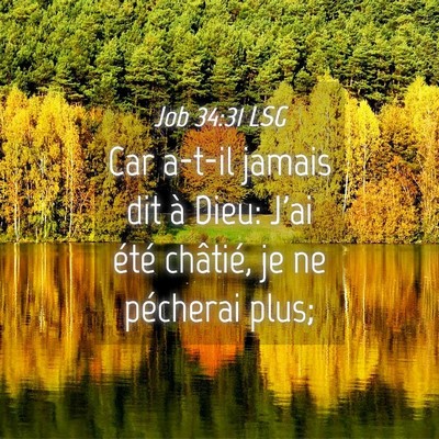 Picture 04 - Job 34:31 LSG - Car a-t-il jamais dit à Dieu: J'ai été - Bible Verse Picture