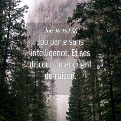 Picture 04 - Job 34:35 LSG - Job parle sans intelligence, Et ses discours - Bible Verse Picture