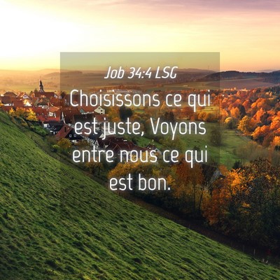 Picture 04 - Job 34:4 LSG - Choisissons ce qui est juste, Voyons entre nous - Bible Verse Picture