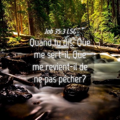 Picture 04 - Job 35:3 LSG - Quand tu dis: Que me sert-il, Que me revient-il - Bible Verse Picture