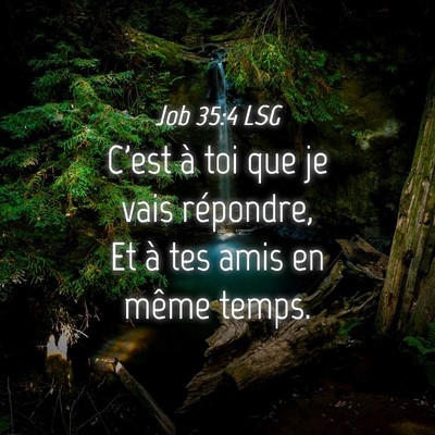 Picture 04 - Job 35:4 LSG - C'est à toi que je vais répondre, Et à tes - Bible Verse Picture