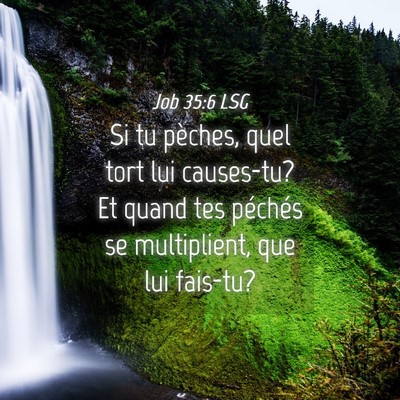 Picture 04 - Job 35:6 LSG - Si tu pèches, quel tort lui causes-tu? Et quand - Bible Verse Picture