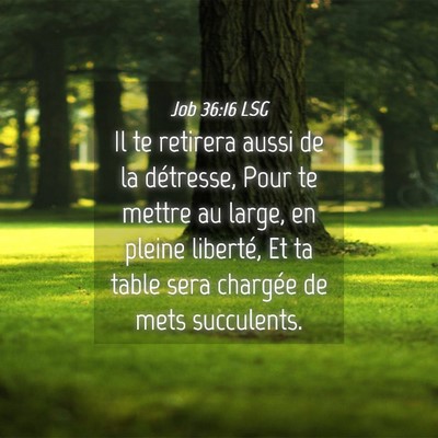 Picture 04 - Job 36:16 LSG - Il te retirera aussi de la détresse, Pour te - Bible Verse Picture