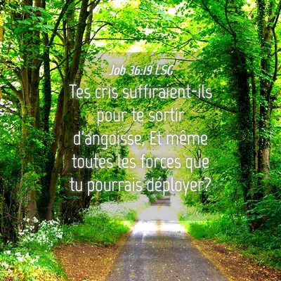 Picture 04 - Job 36:19 LSG - Tes cris suffiraient-ils pour te sortir - Bible Verse Picture