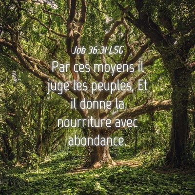 Picture 04 - Job 36:31 LSG - Par ces moyens il juge les peuples, Et il donne - Bible Verse Picture