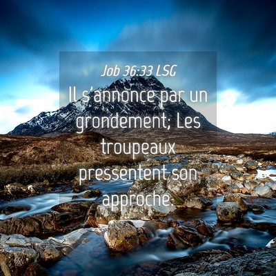 Picture 04 - Job 36:33 LSG - Il s'annonce par un grondement; Les troupeaux - Bible Verse Picture
