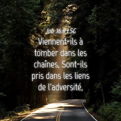 Picture 04 - Job 36:8 LSG - Viennent-ils à tomber dans les chaînes, - Bible Verse Picture