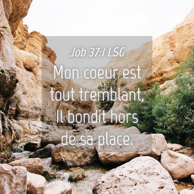 Picture 04 - Job 37:1 LSG - Mon coeur est tout tremblant, Il bondit hors de - Bible Verse Picture