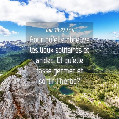 Picture 04 - Job 38:27 LSG - Pour qu'elle abreuve les lieux solitaires et - Bible Verse Picture