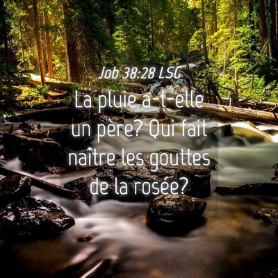 Picture 04 - Job 38:28 LSG - La pluie a-t-elle un père? Qui fait naître les - Bible Verse Picture