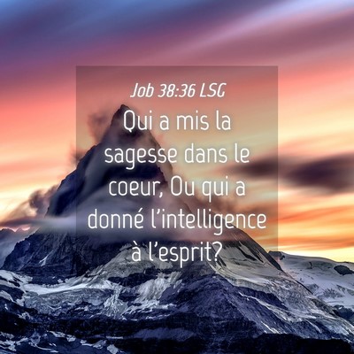 Picture 04 - Job 38:36 LSG - Qui a mis la sagesse dans le coeur, Ou qui a - Bible Verse Picture