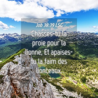 Picture 04 - Job 38:39 LSG - Chasses-tu la proie pour la lionne, Et apaises-tu - Bible Verse Picture