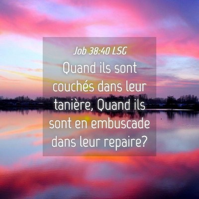 Picture 04 - Job 38:40 LSG - Quand ils sont couchés dans leur tanière, Quand - Bible Verse Picture