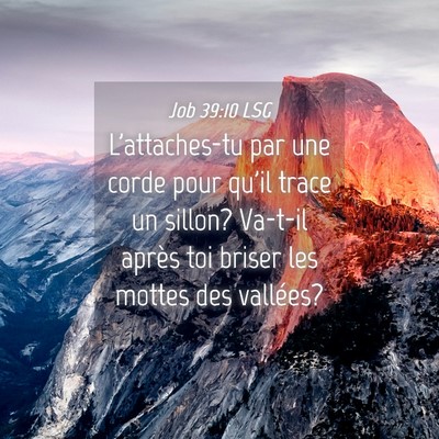 Picture 04 - Job 39:10 LSG - L'attaches-tu par une corde pour qu'il trace un - Bible Verse Picture