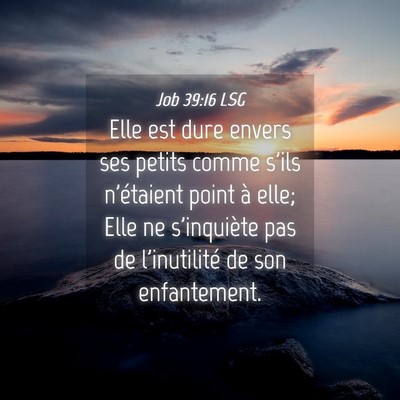 Picture 04 - Job 39:16 LSG - Elle est dure envers ses petits comme s'ils - Bible Verse Picture