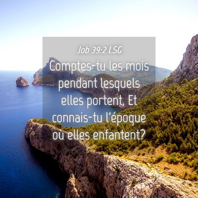 Picture 04 - Job 39:2 LSG - Comptes-tu les mois pendant lesquels elles - Bible Verse Picture