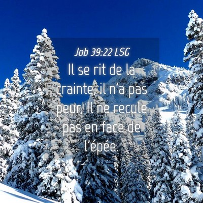 Picture 04 - Job 39:22 LSG - Il se rit de la crainte, il n'a pas peur, Il ne - Bible Verse Picture