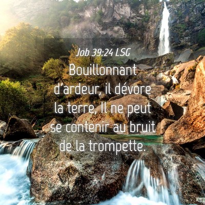 Picture 04 - Job 39:24 LSG - Bouillonnant d'ardeur, il dévore la terre, Il ne - Bible Verse Picture