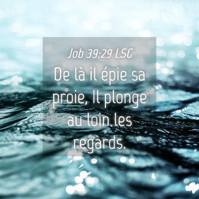Picture 04 - Job 39:29 LSG - De là il épie sa proie, Il plonge au loin les - Bible Verse Picture