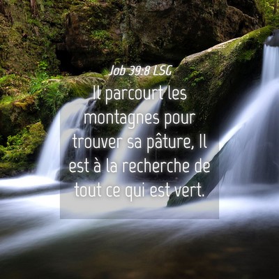 Picture 04 - Job 39:8 LSG - Il parcourt les montagnes pour trouver sa - Bible Verse Picture