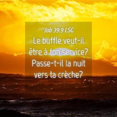 Picture 04 - Job 39:9 LSG - Le buffle veut-il être à ton service? - Bible Verse Picture