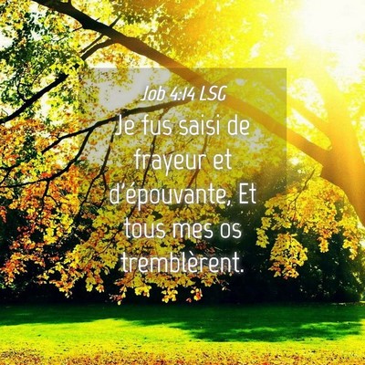 Picture 04 - Job 4:14 LSG - Je fus saisi de frayeur et d'épouvante, Et tous - Bible Verse Picture