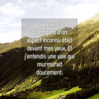 Picture 04 - Job 4:16 LSG - Une figure d'un aspect inconnu était devant mes - Bible Verse Picture