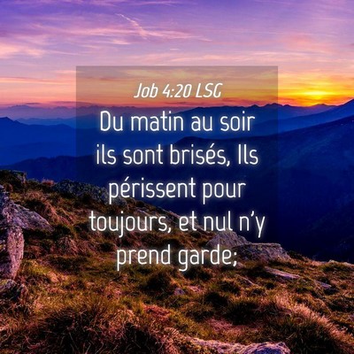 Picture 04 - Job 4:20 LSG - Du matin au soir ils sont brisés, Ils périssent - Bible Verse Picture