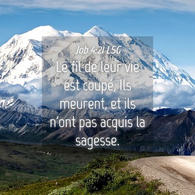 Picture 04 - Job 4:21 LSG - Le fil de leur vie est coupé, Ils meurent, et - Bible Verse Picture