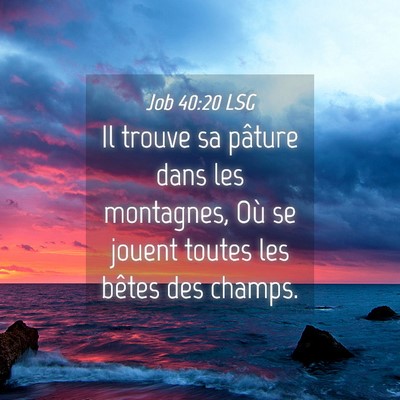 Picture 04 - Job 40:20 LSG - Il trouve sa pâture dans les montagnes, Où se - Bible Verse Picture