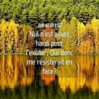 Picture 04 - Job 41:10 LSG - Nul n'est assez hardi pour l'exciter; Qui donc me - Bible Verse Picture