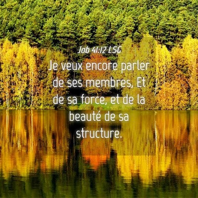 Picture 04 - Job 41:12 LSG - Je veux encore parler de ses membres, Et de sa - Bible Verse Picture