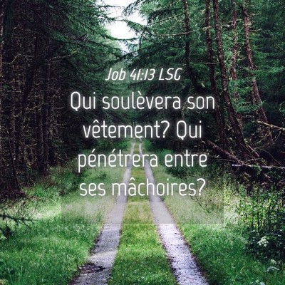 Picture 04 - Job 41:13 LSG - Qui soulèvera son vêtement? Qui pénétrera - Bible Verse Picture